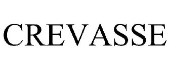CREVASSE