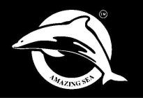 AMAZING SEA