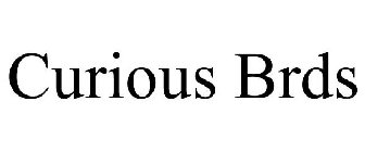 CURIOUS BRDS