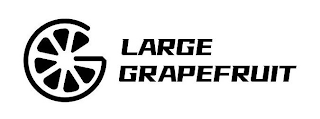 G LARGE GRAPEFRUIT