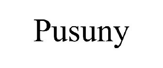 PUSUNY