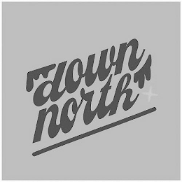DOWN NORTH