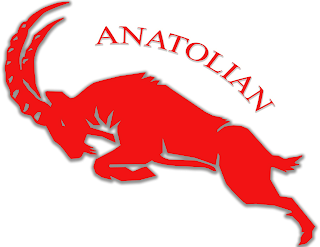 ANATOLIAN