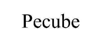 PECUBE