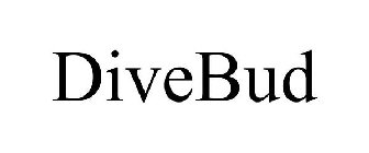 DIVEBUD