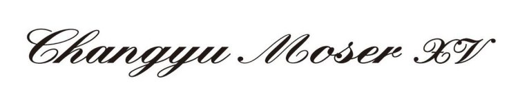 CHANGYU MOSER XV