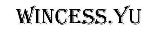 WINCESS.YU
