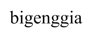 BIGENGGIA