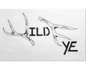 WILD EYE