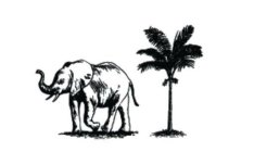 Image Trademark