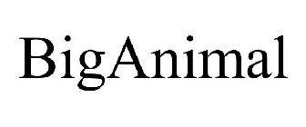 BIGANIMAL