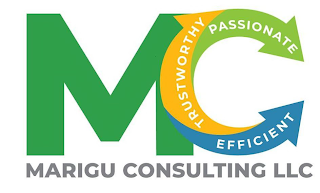 MC MARIGU CONSULTING LLC PASSIONATE TRUSTWORTHY EFFICIENT