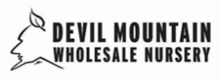 DEVIL MOUNTAIN WHOLESALE NURSERY