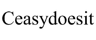 CEASYDOESIT