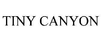 TINY CANYON