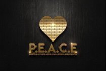 P.E.A.C.E POSITIVE EFFORTS AIDING CHALLENGING EXPERIENCES