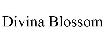 DIVINA BLOSSOM