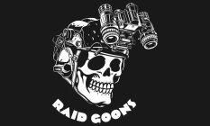 RAID GOONS