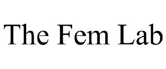 THE FEM LAB