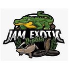 JAM EXOTIC REPTILES