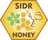 SIDR HONEY