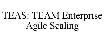 TEAS: TEAM ENTERPRISE AGILE SCALING