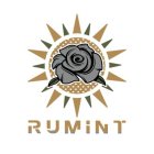 RUMINT