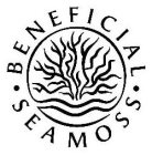 BENEFICIAL SEA MOSS