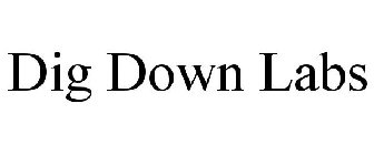 DIG DOWN LABS