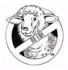 NO EWE