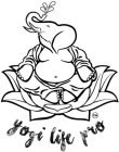 YOGI LIFE PRO
