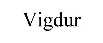 VIGDUR