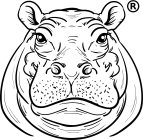 HIPPO LOCO