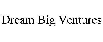 DREAM BIG VENTURES