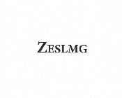 ZESLMG