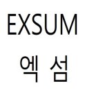 EXSUM