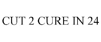 CUT 2 CURE IN 24