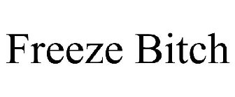 FREEZE BITCH