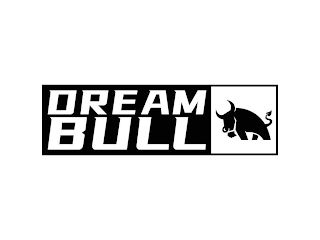 DREAM BULL