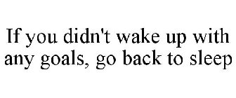 IF YOU DIDN'T WAKE UP WITH ANY GOALS, GO BACK TO SLEEP
