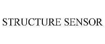 STRUCTURE SENSOR