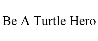 BE A TURTLE HERO