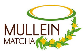 MULLEIN MATCHA