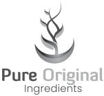 PURE ORIGINAL INGREDIENTS