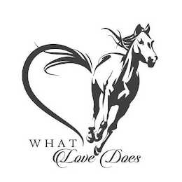 WHAT LOVE DOES