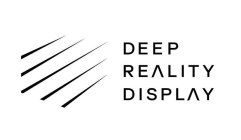 DEEP REALITY DISPLAY