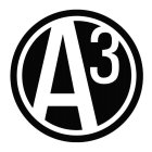 A3