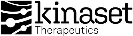 KINASET THERAPEUTICS