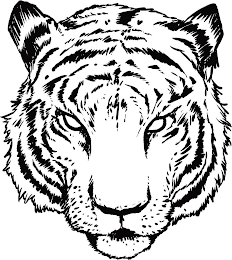 Image Trademark