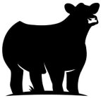 Image Trademark